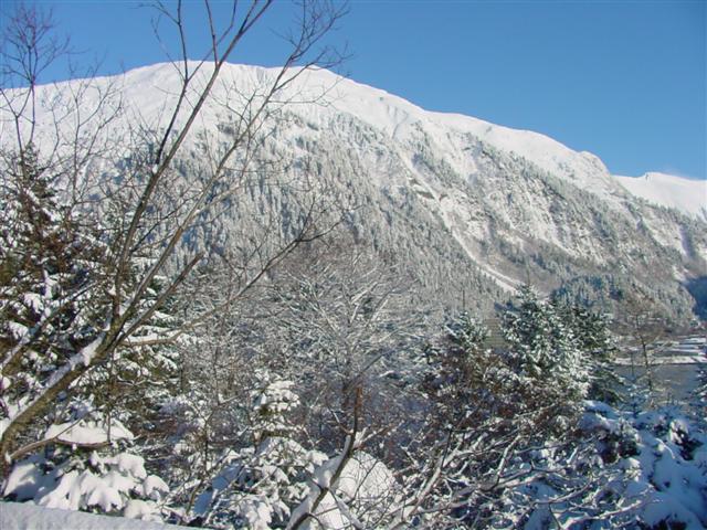 Mt. Juneau, 3,576 ft., Juneau, Alaska.